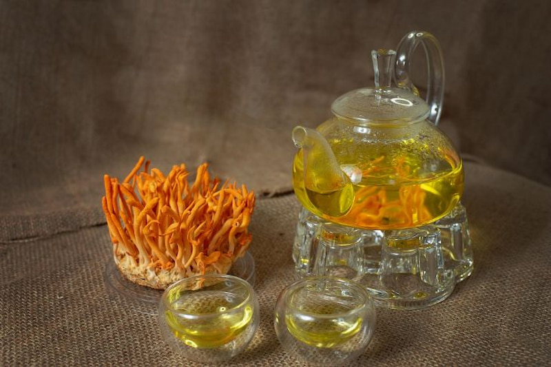 TRÀ ATISO ĐÔNG TRÙNG HẠ THẢO (T)